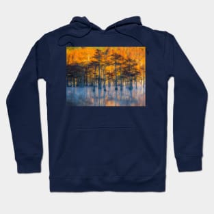 Morning Cypress Paradise Hoodie